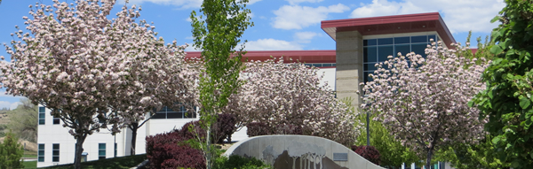 Trees in bloom in front of GBC's DCIT building graphic.
