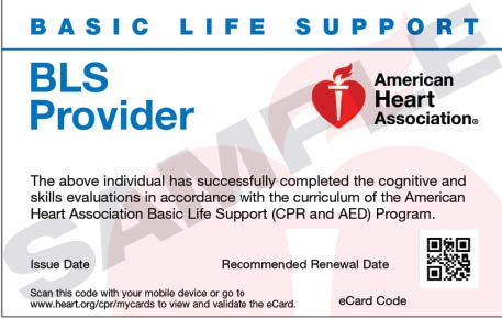Basic Life Support card. Basic Life Support card with information.